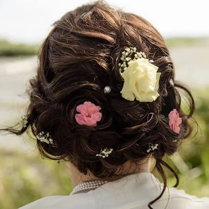 Messy Curly Dish Bun Splendoraq